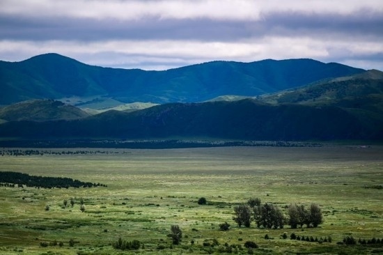 2023年8月4日拍攝的大興安嶺南麓內(nèi)蒙古罕山國(guó)家級(jí)自然保護(hù)區(qū)風(fēng)光。新華社記者 連振 攝