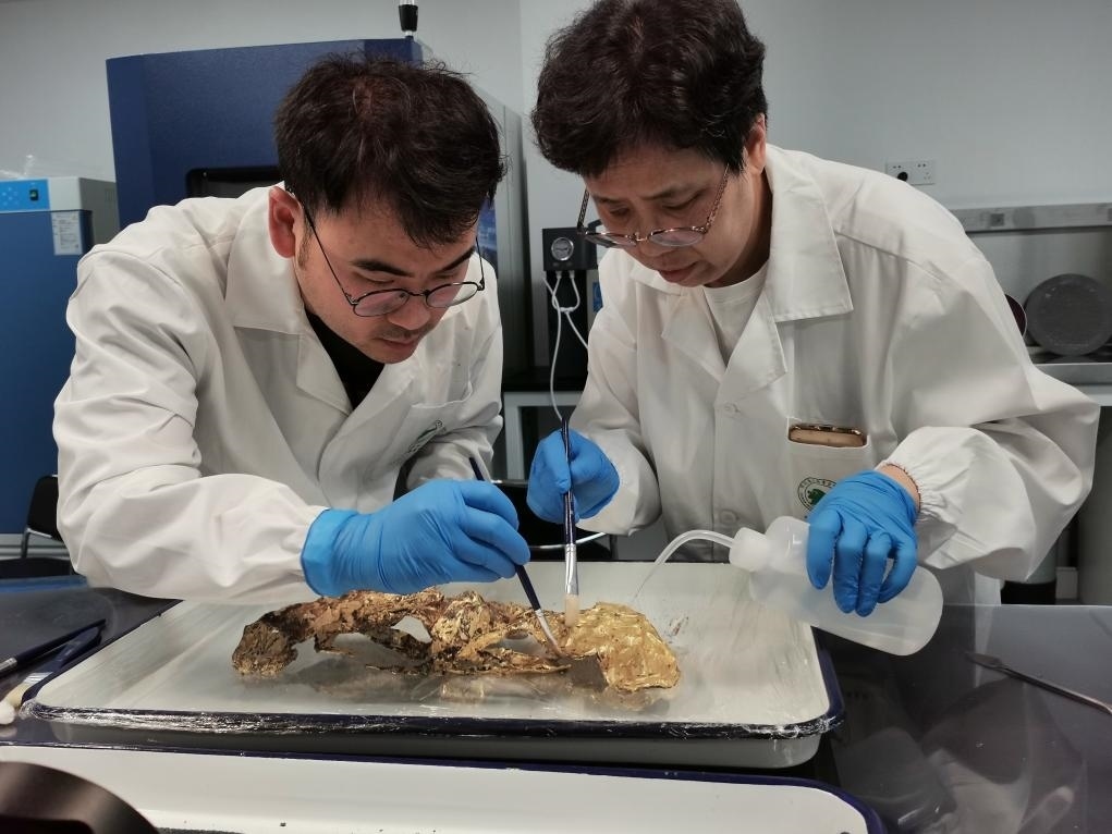 2023年7月，馬燕如（右）帶著魯海子（左）修復三星堆遺址出土的黃金面具。新華社發(fā)（四川省文物考古研究院供圖）