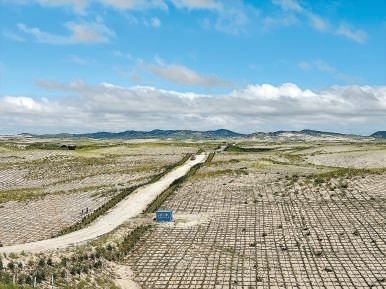 剛剛竣工的其白線穿沙公路。