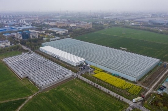 2024年3月28日，空中俯瞰嘉興南湖區(qū)湘家蕩農(nóng)業(yè)數(shù)字化工廠（無人機照片）。該農(nóng)業(yè)數(shù)字化工廠占地總面積約62畝，包含智慧農(nóng)業(yè)生產(chǎn)、物聯(lián)網(wǎng)智能管理、自動分揀包裝、保鮮儲藏物流、高科技示范展示等五大功能區(qū)，可直接或間接培養(yǎng)帶動新型職業(yè)技術(shù)農(nóng)民500人以上。新華社記者 徐昱 攝