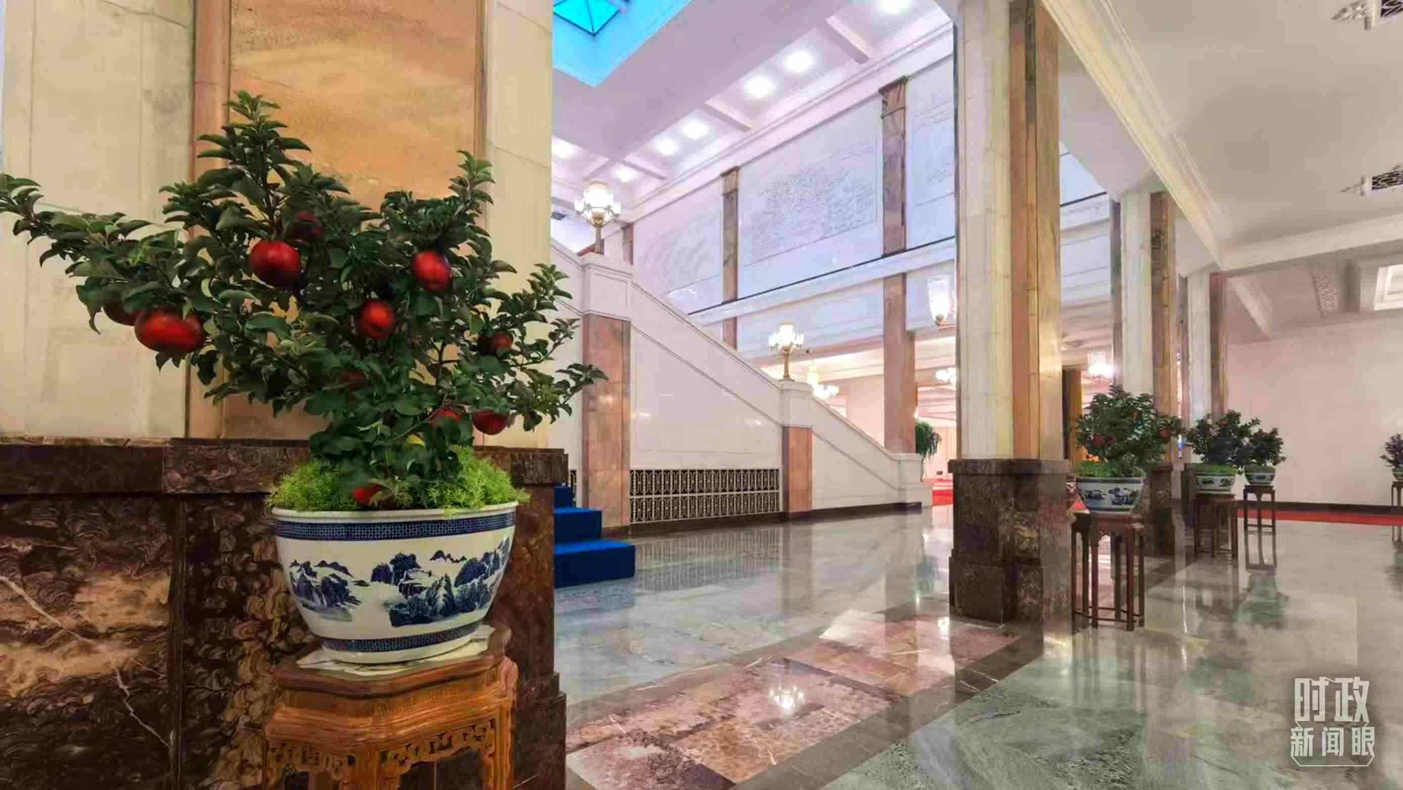 △大會(huì)堂內(nèi)的“碩果累累”盆栽。（總臺(tái)國(guó)廣記者吳倩拍攝）