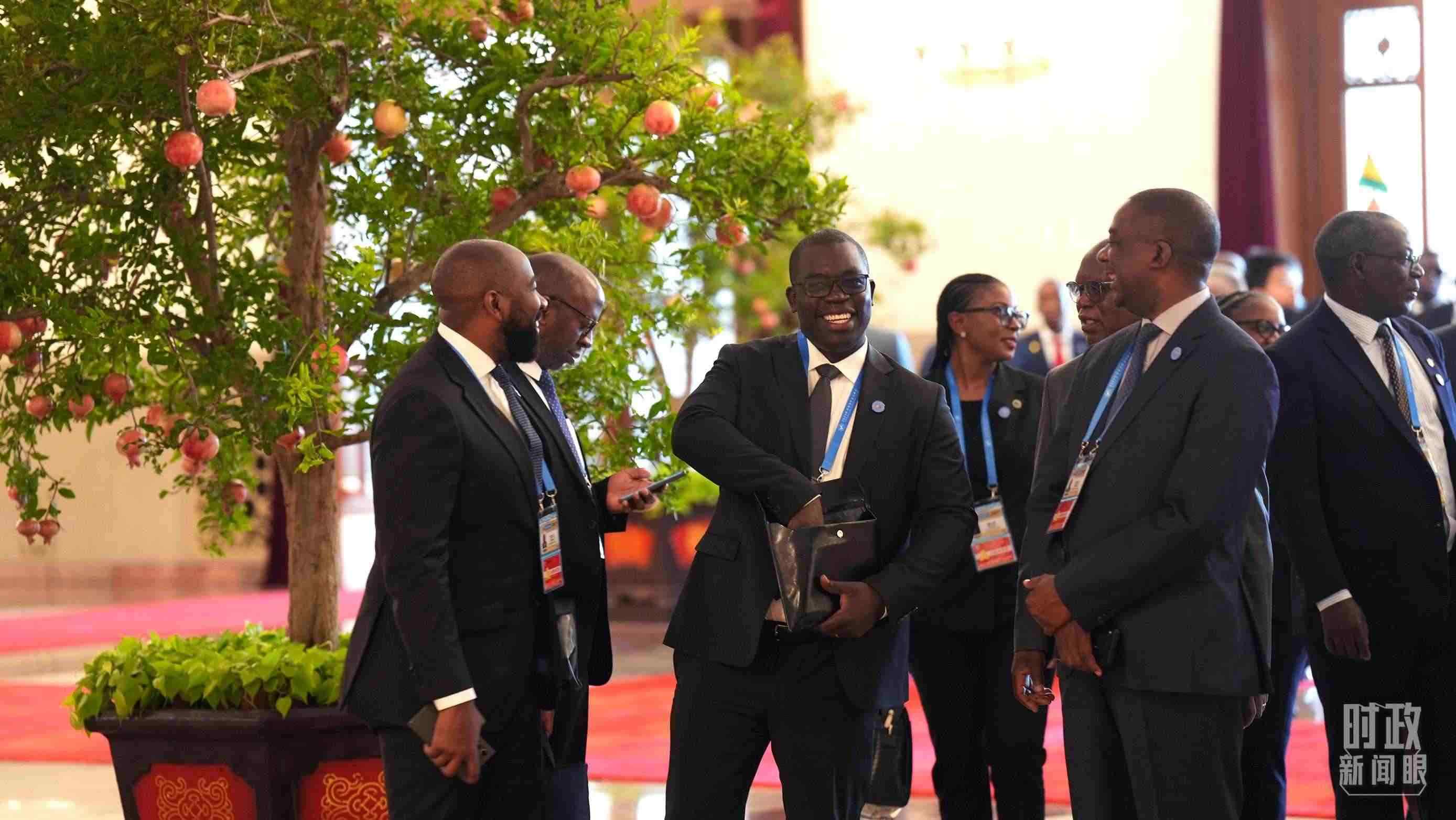 出席中非合作論壇北京峰會的非洲國家代表。（總臺記者李晉拍攝）