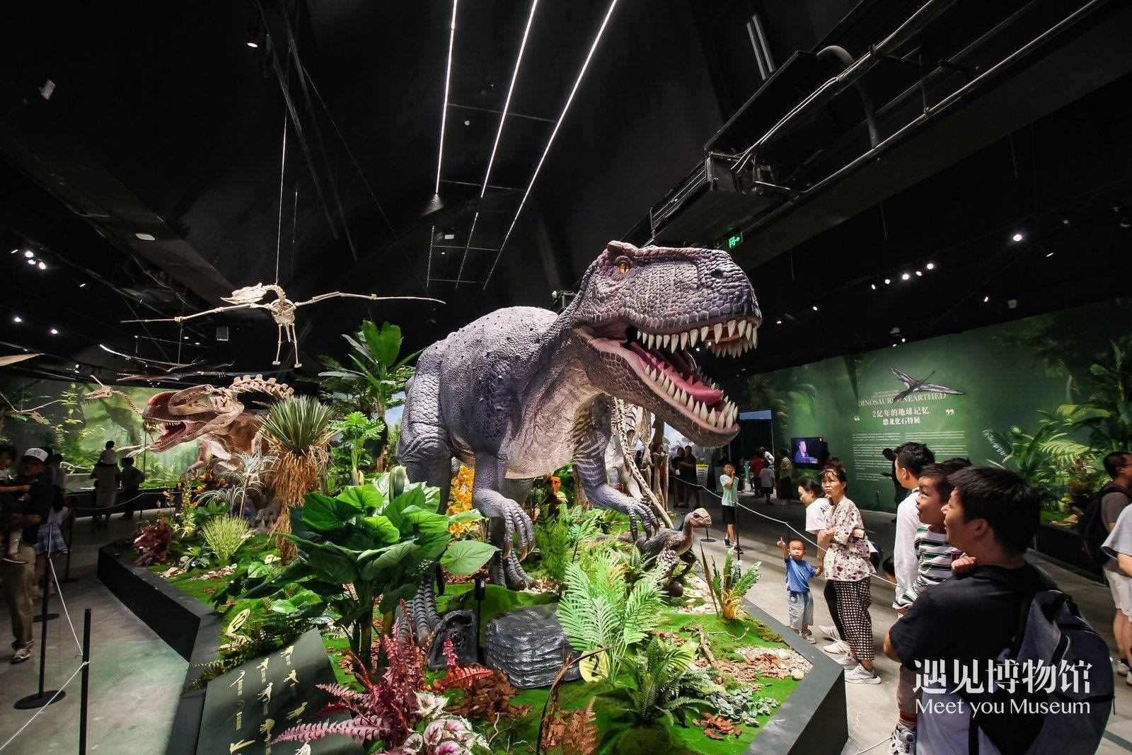 2. 游客參觀“2億年的地球記憶——恐龍化石特展”。遇見博物館供圖