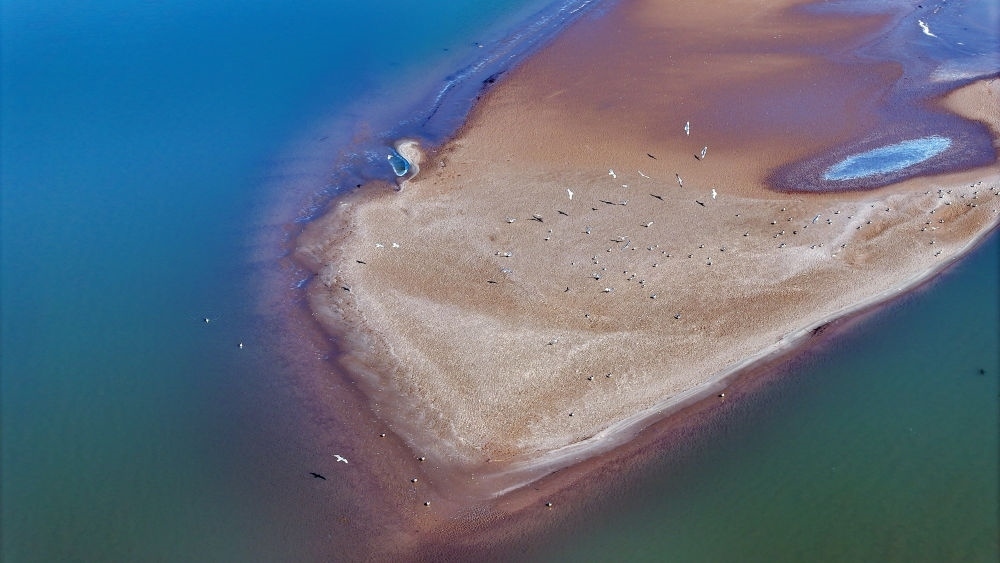 2024年3月1日拍攝的黃河寧夏段（無人機照片）。