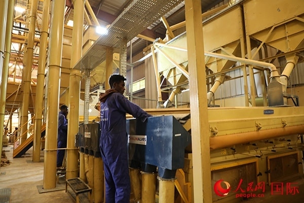 在Bule Hora咖啡加工廠里工作的當?shù)毓と藗?。人民網(wǎng)記者 沈小曉攝