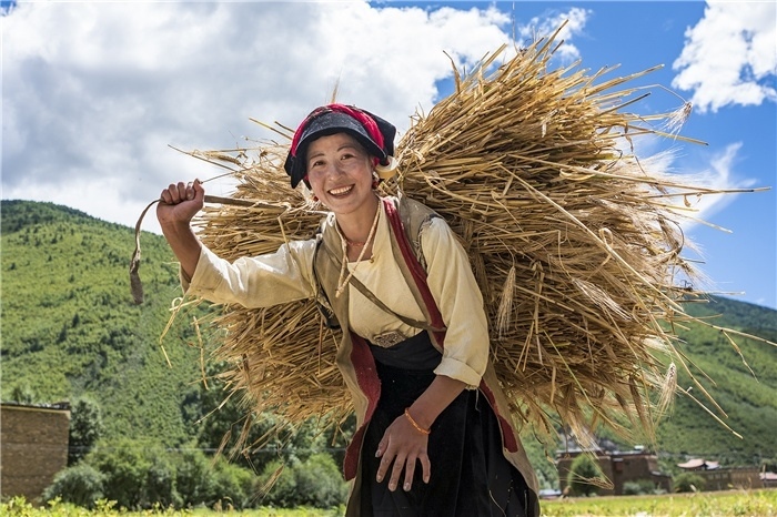 康定市甲根壩鎮(zhèn)青稞豐收，農(nóng)牧民臉上洋溢著豐收的喜悅。林革文攝