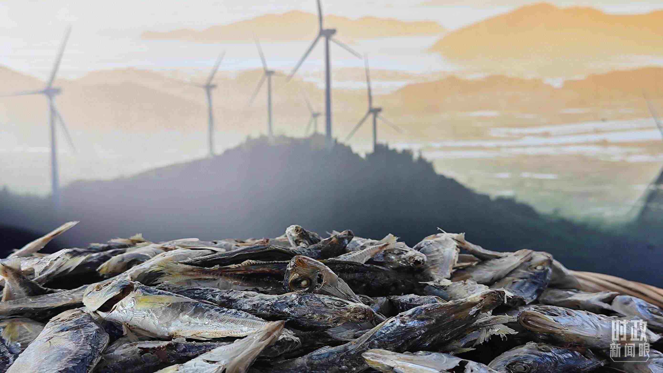 △澳角村的海產(chǎn)品。（總臺央視記者許永松拍攝）