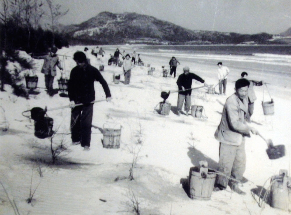 上世紀東山百姓在沙灘造林（資料照片）。