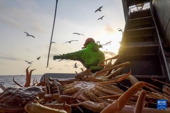 這是俄羅斯蟹業(yè)集團(tuán)工作人員進(jìn)行遠(yuǎn)洋捕撈的資料照片。新華社發(fā)（俄羅斯蟹業(yè)集團(tuán)供圖）