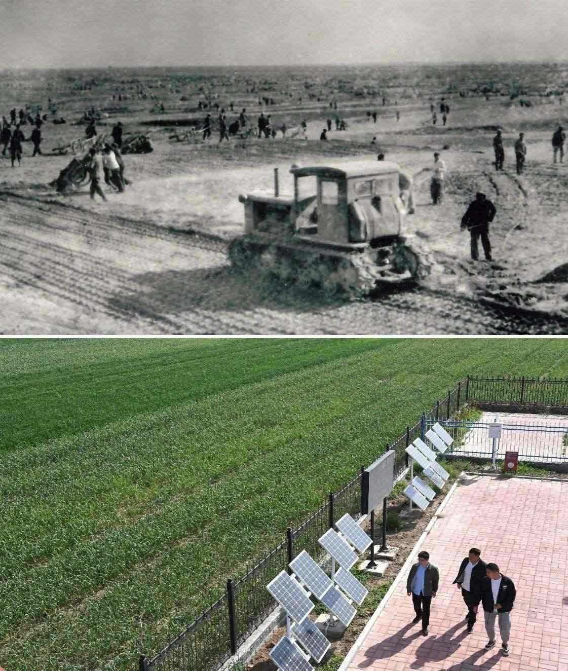 上圖為二十世紀六十年代蘭考改造鹽堿地的情景（資料照片）；下圖為2024年4月18日拍攝的蘭考縣紅廟鎮(zhèn)高標準農(nóng)田示范區(qū)。（新華社記者 朱祥 攝）