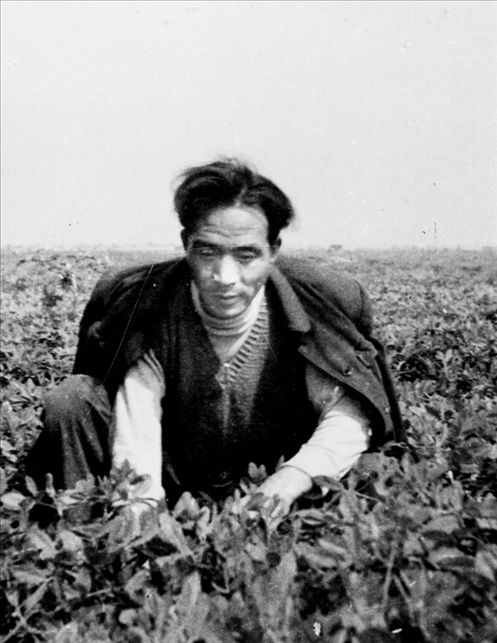 在蘭考期間，焦裕祿在田間勞動的情景。