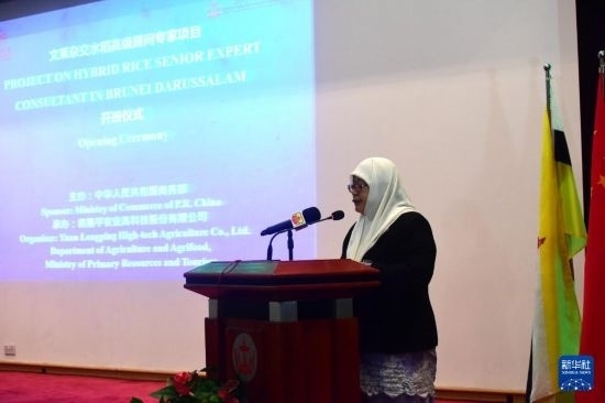 10月26日，文萊初級資源與旅游部常任秘書圖蒂亞蒂在斯里巴加灣市出席中國與文萊雜交水稻高級專家顧問項(xiàng)目啟動(dòng)儀式。新華社記者 李萌 攝