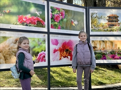 活動現(xiàn)場。中國駐保加利亞大使館供圖。