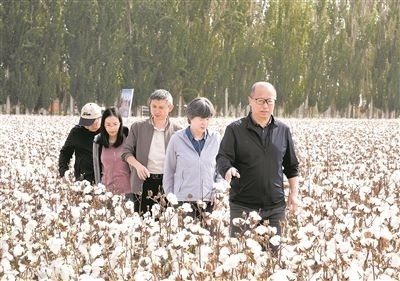 李召虎團(tuán)隊(duì)成員在棉田了解試驗(yàn)情況。 受訪(fǎng)單位供圖