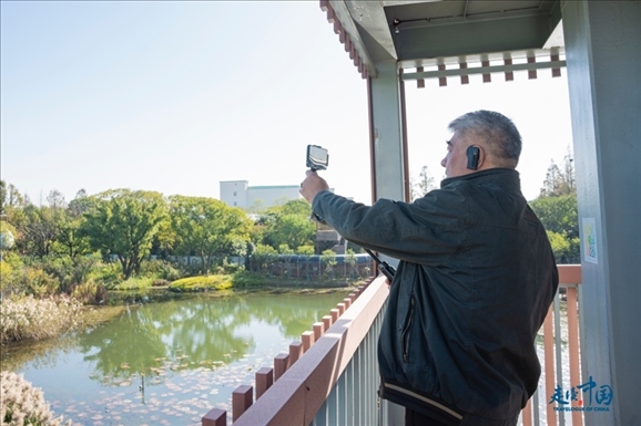 參觀白鷺園。環(huán)球網(wǎng)供圖