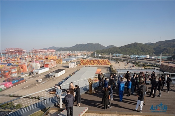 媒體團(tuán)走進(jìn)寧波舟山港北侖港區(qū)。環(huán)球網(wǎng)供圖