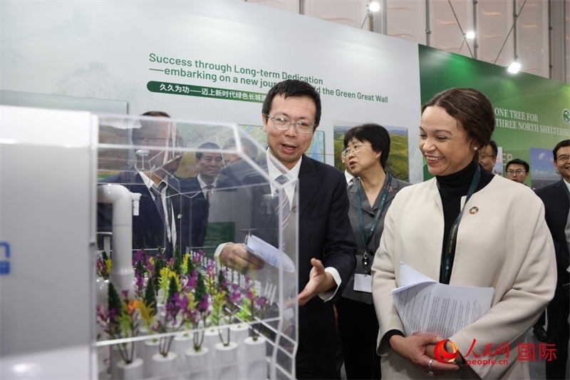 嘉賓參觀中國館。人民網(wǎng)記者任皓宇攝