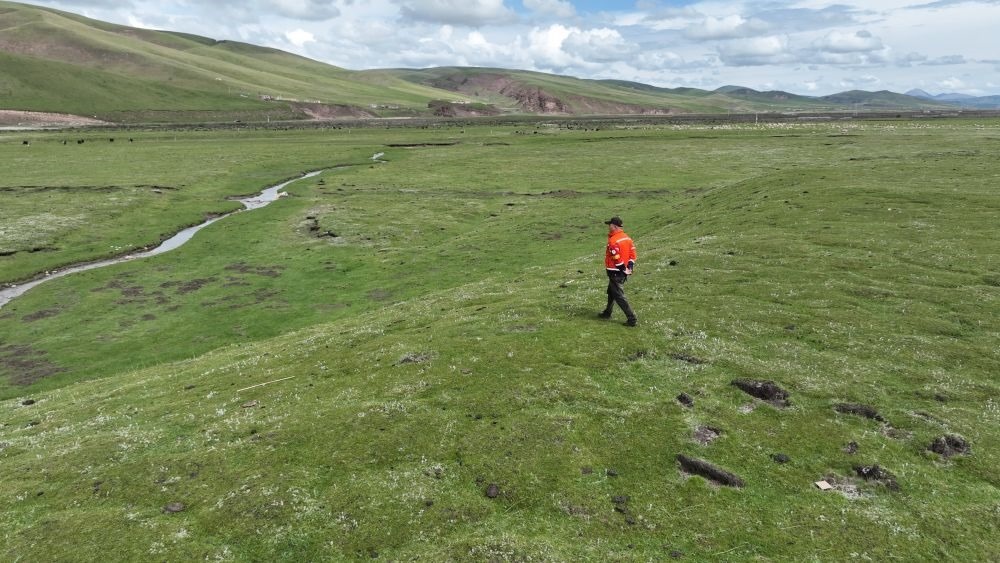 9月24日，生態(tài)管護員那瓦才郎在草場上巡護。（受訪者供圖）