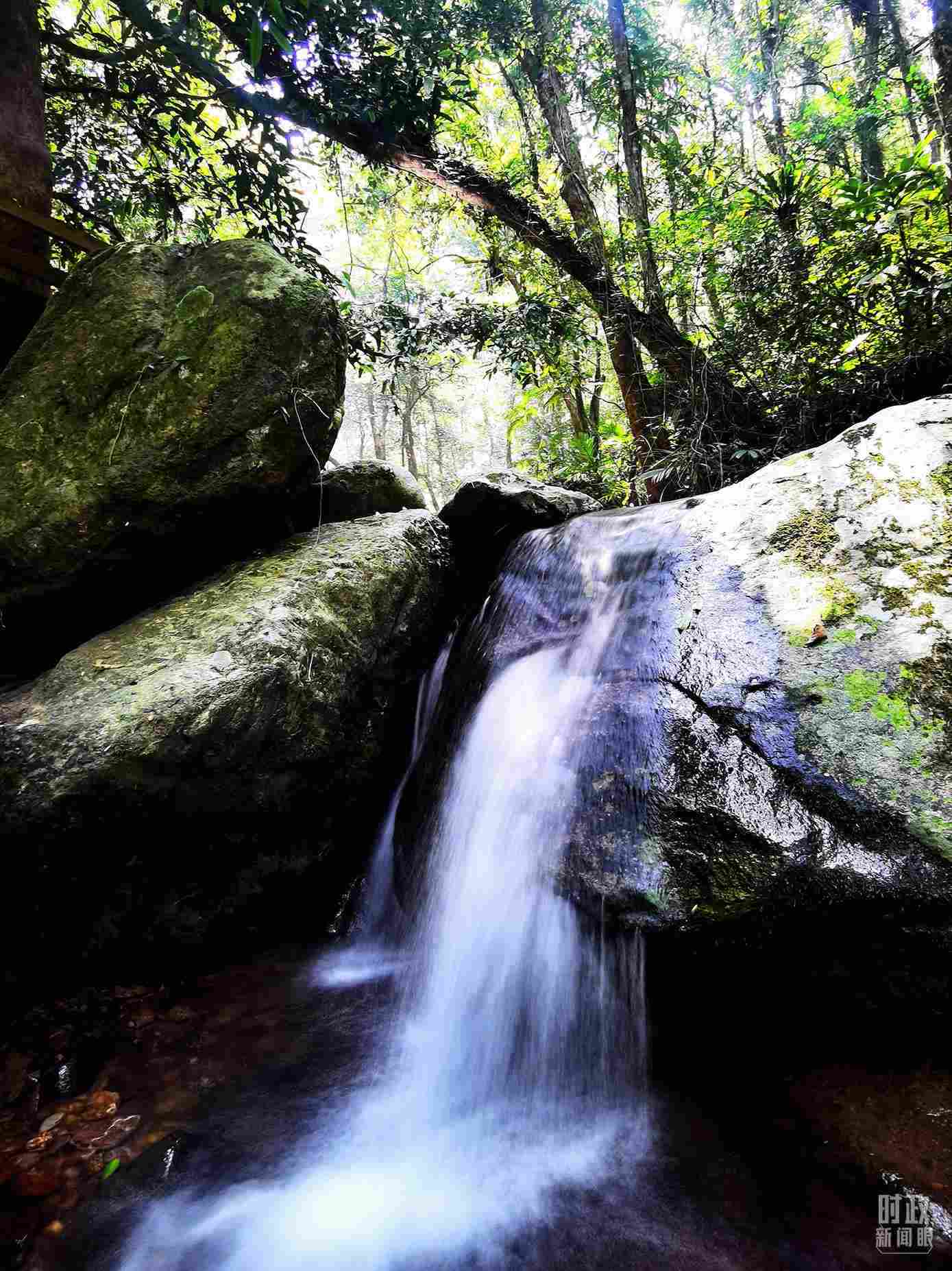 海南五指山。（總臺央視記者劉琦拍攝）