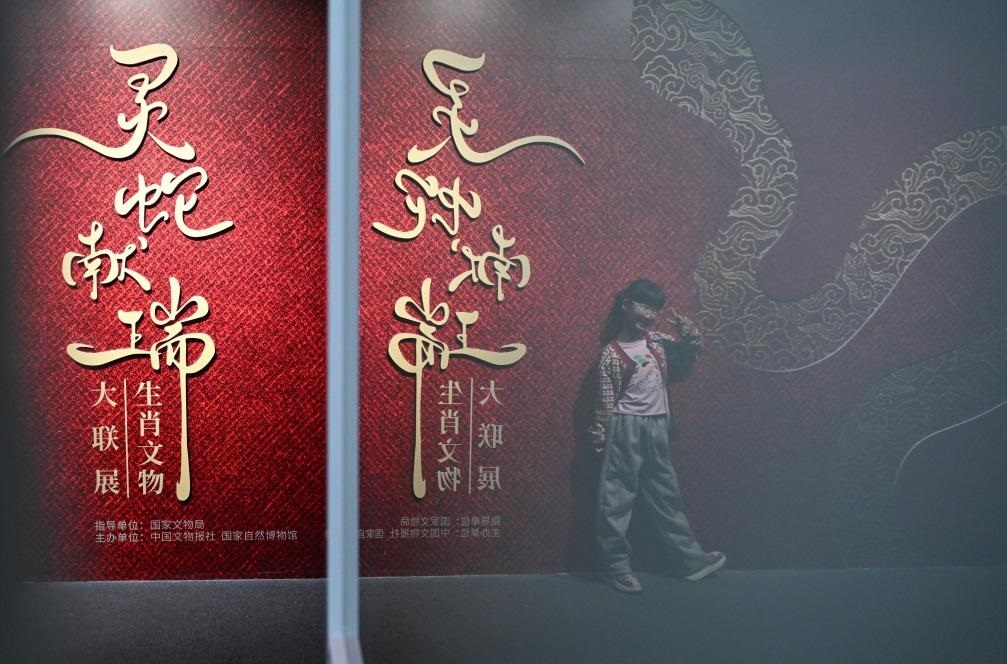 1月18日，一名小朋友在國家自然博物館舉辦的“靈蛇獻瑞——2025乙巳蛇年生肖文物大聯(lián)展”展覽中拍照留念。（新華社記者 陳鐘昊 攝）