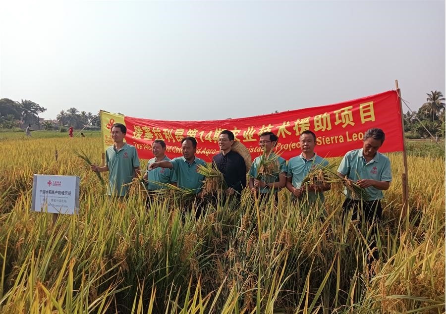 中國(guó)駐塞拉利昂大使王擎和援塞農(nóng)業(yè)專(zhuān)家組合影。中國(guó)援塞農(nóng)業(yè)專(zhuān)家組供圖