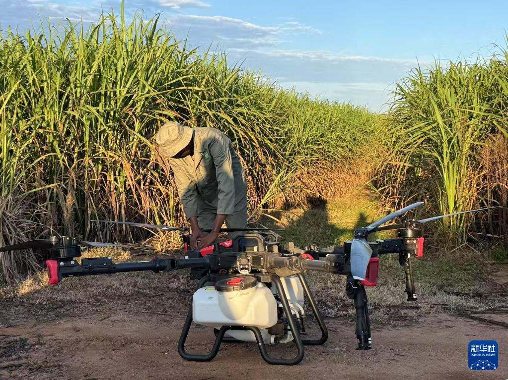 3月25日，在南非夸祖魯-納塔爾省的方廷希爾莊園，工作人員為無(wú)人機(jī)做起飛作業(yè)前的準(zhǔn)備。新華社記者 白舸 攝