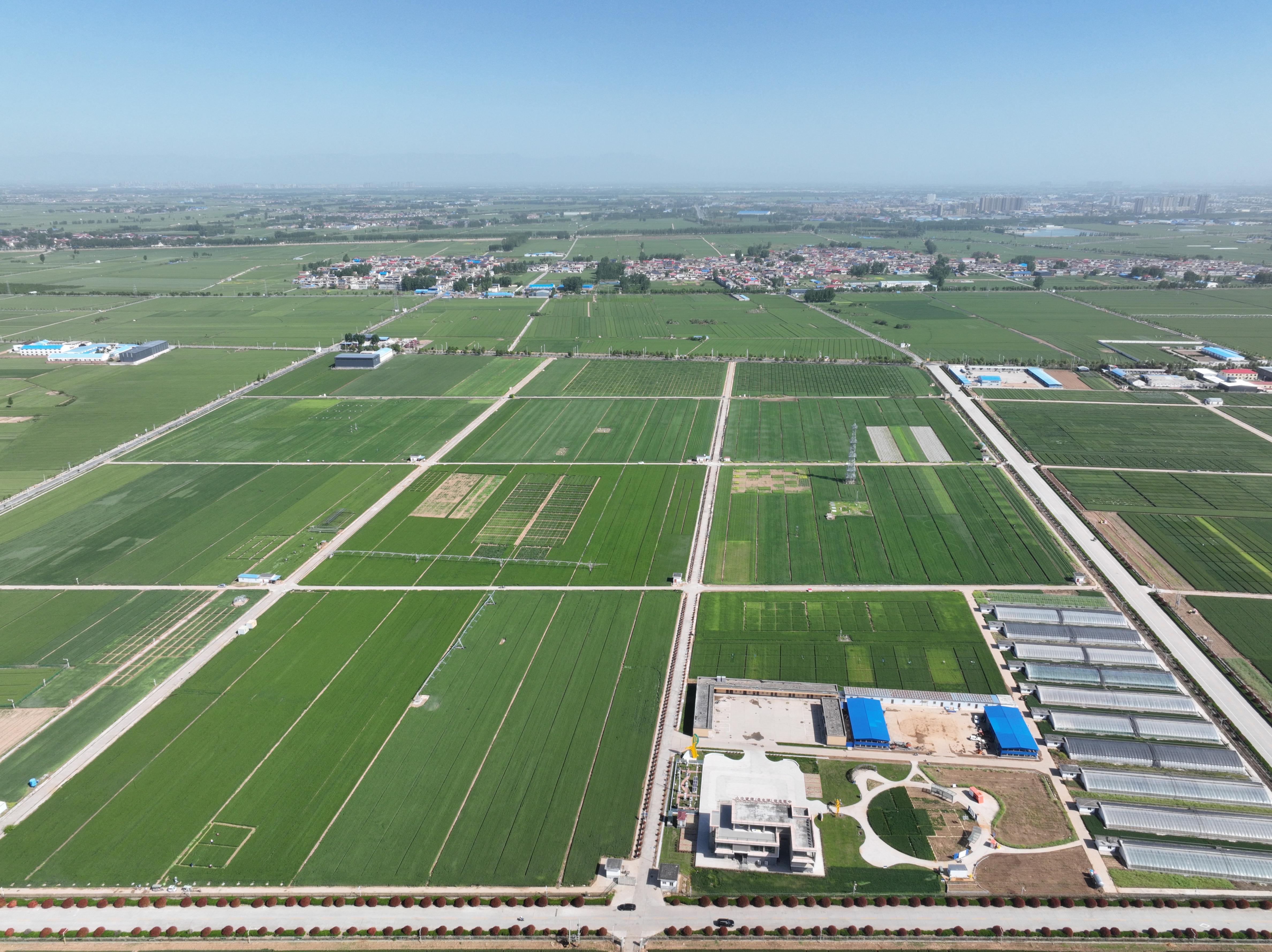 俯瞰水利部灌溉試驗總站試驗研究基地。受訪者供圖